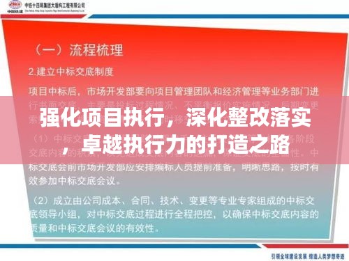 强化项目执行,深化整改落实,卓越执行力的打造之路