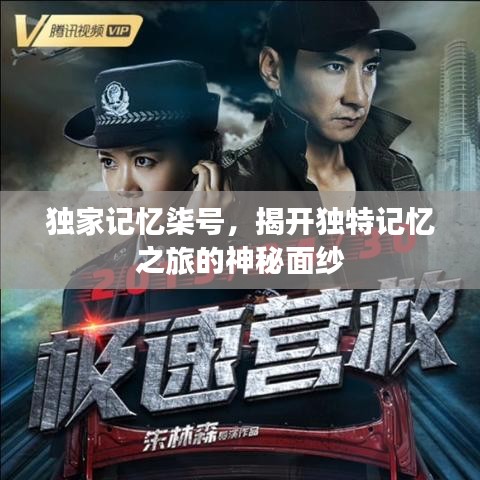 独家记忆柒号,揭开独特记忆之旅的神秘面纱