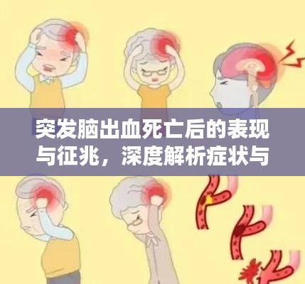突发脑出血死亡后的表现与征兆,深度解析症状与应对之道