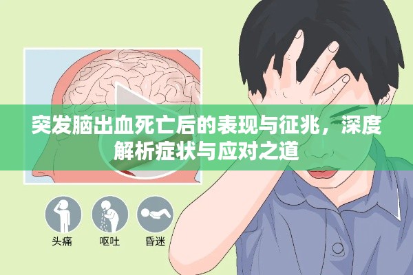 突发脑出血死亡后的表现与征兆,深度解析症状与应对之道