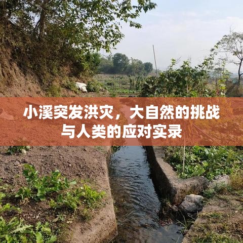 小溪突发洪灾,大自然的挑战与人类的应对实录