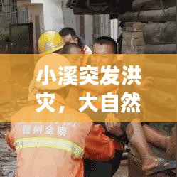 小溪突发洪灾,大自然的挑战与人类的应对实录