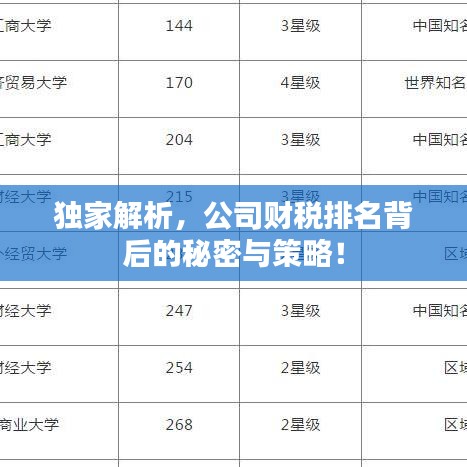 独家解析,公司财税排名背后的秘密与策略!