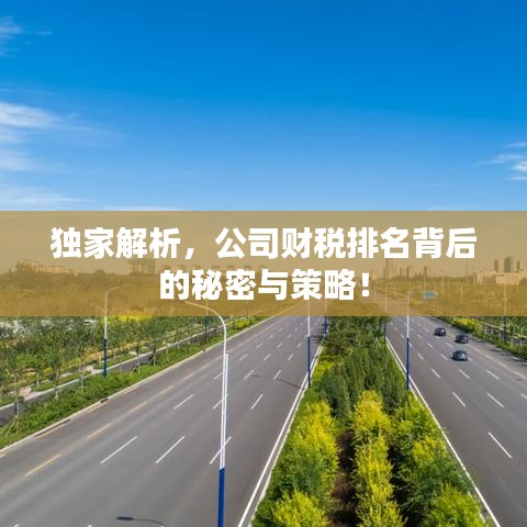 独家解析,公司财税排名背后的秘密与策略!
