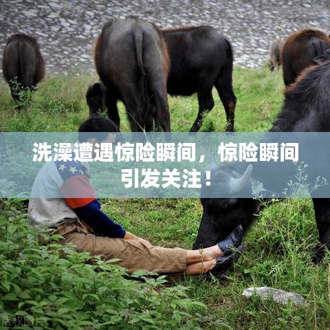 洗澡遭遇惊险瞬间,惊险瞬间引发关注!