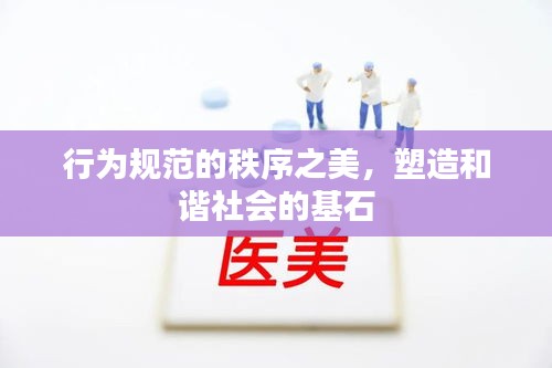 行为规范的秩序之美,塑造和谐社会的基石