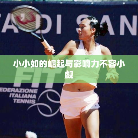 小小如的崛起与影响力不容小觑