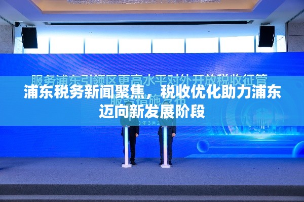 浦东税务新闻聚焦,税收优化助力浦东迈向新发展阶段