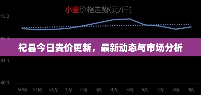杞县今日麦价更新,最新动态与市场分析