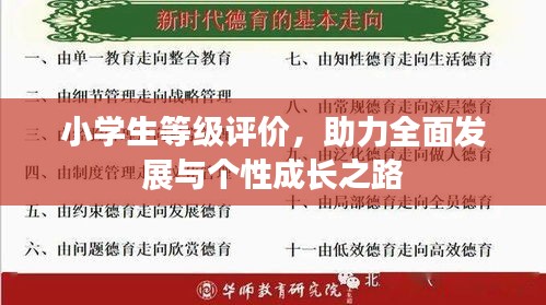 小学生等级评价,助力全面发展与个性成长之路