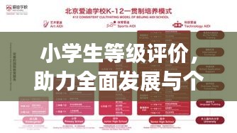 小学生等级评价,助力全面发展与个性成长之路