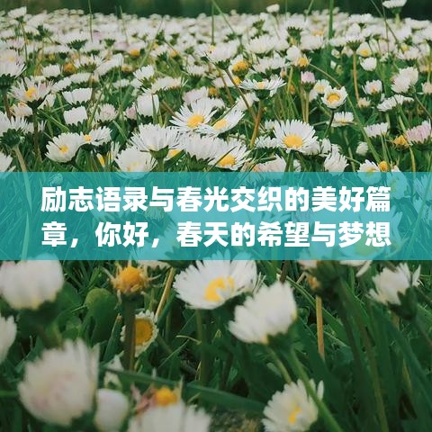 励志语录与春光交织的美好篇章,你好,春天的希望与梦想!