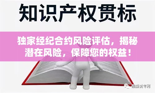 独家经纪合约风险评估,揭秘潜在风险,保障您的权益!