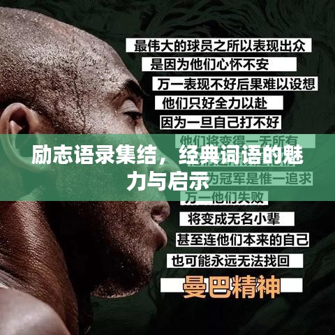 励志语录集结,经典词语的魅力与启示