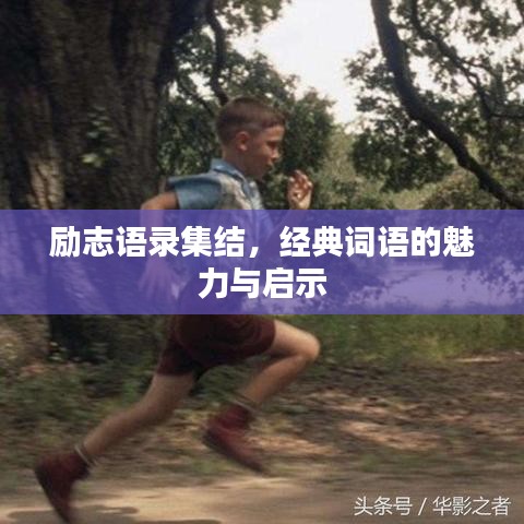 励志语录集结,经典词语的魅力与启示