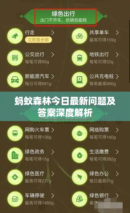 蚂蚁森林今日最新问题及答案深度解析