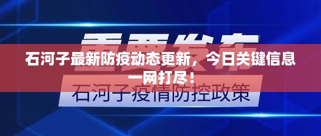 石河子最新防疫动态更新,今日关键信息一网打尽!