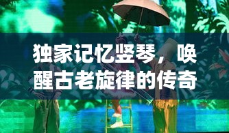 独家记忆竖琴,唤醒古老旋律的传奇乐器之旅