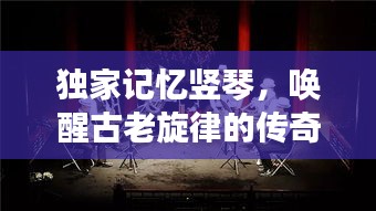 独家记忆竖琴,唤醒古老旋律的传奇乐器之旅