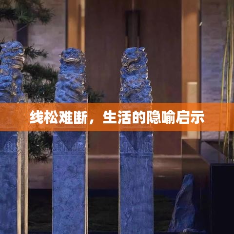 线松难断,生活的隐喻启示