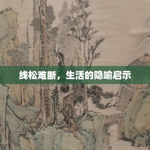 线松难断,生活的隐喻启示