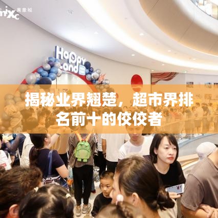 揭秘业界翘楚,超市界排名前十的佼佼者