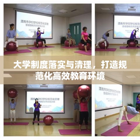 大学制度落实与清理,打造规范化高效教育环境