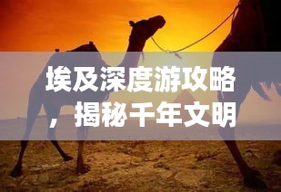埃及深度游攻略,揭秘千年文明的神秘之旅