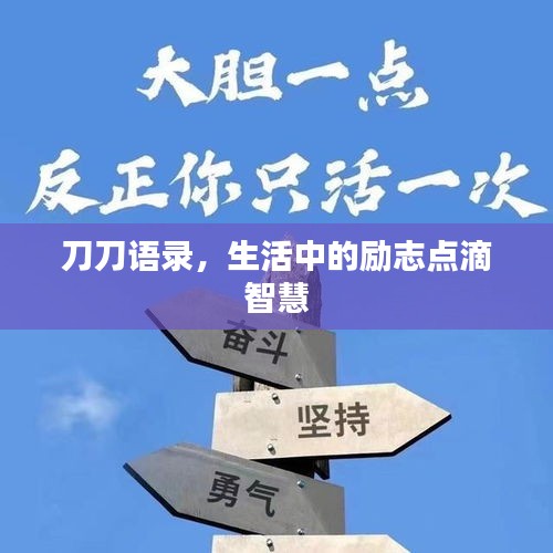 刀刀语录,生活中的励志点滴智慧