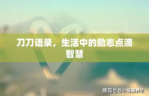刀刀语录,生活中的励志点滴智慧