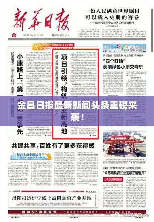 金昌日报最新新闻头条重磅来袭!