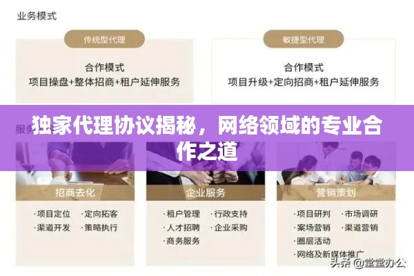 独家代理协议揭秘,网络领域的专业合作之道
