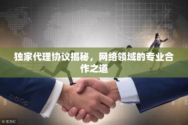 独家代理协议揭秘,网络领域的专业合作之道