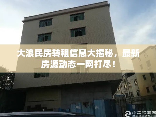 大浪民房转租信息大揭秘,最新房源动态一网打尽!