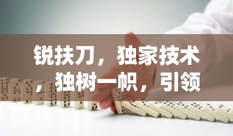 锐扶刀,独家技术,独树一帜,引领行业新潮流