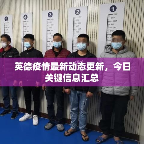 英德疫情最新动态更新,今日关键信息汇总