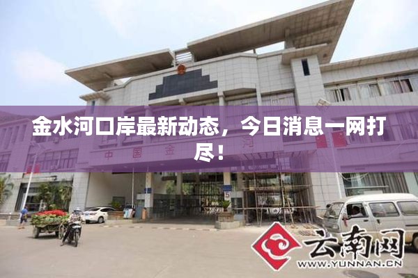 金水河口岸最新动态,今日消息一网打尽!