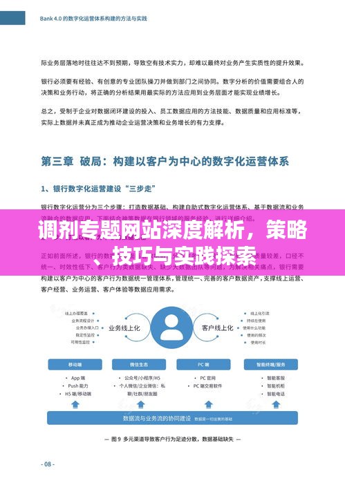 调剂专题网站深度解析,策略、技巧与实践探索