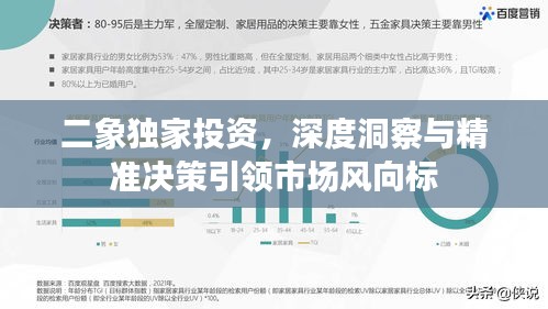 二象独家投资,深度洞察与精准决策引领市场风向标