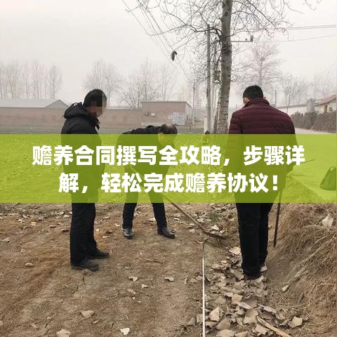 赡养合同撰写全攻略,步骤详解,轻松完成赡养协议!