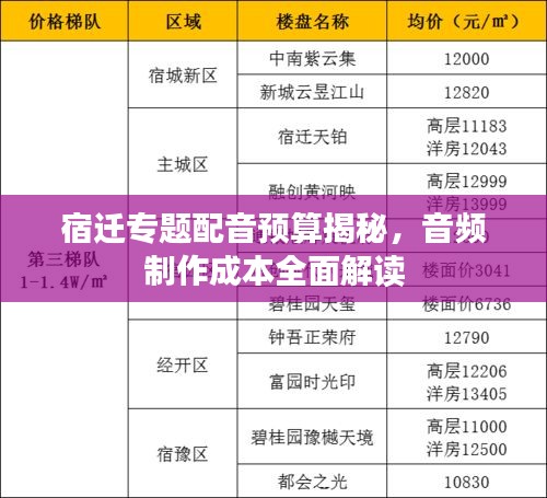 宿迁专题配音预算揭秘,音频制作成本全面解读