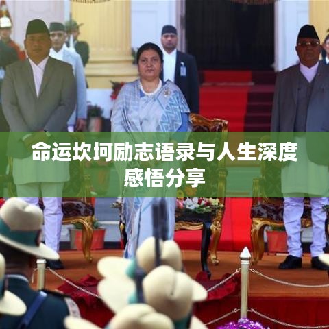 命运坎坷励志语录与人生深度感悟分享