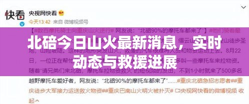 北碚今日山火最新消息,实时动态与救援进展