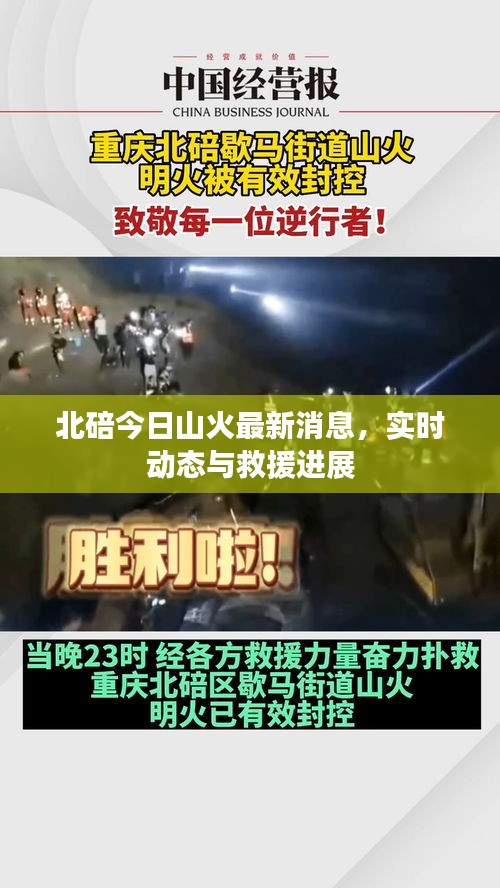 北碚今日山火最新消息,实时动态与救援进展