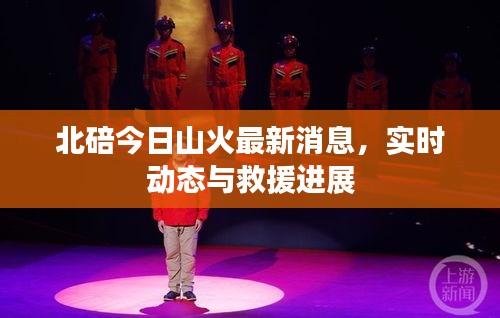 北碚今日山火最新消息,实时动态与救援进展