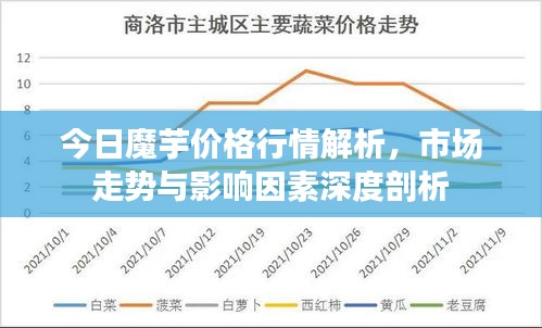 今日魔芋价格行情解析,市场走势与影响因素深度剖析