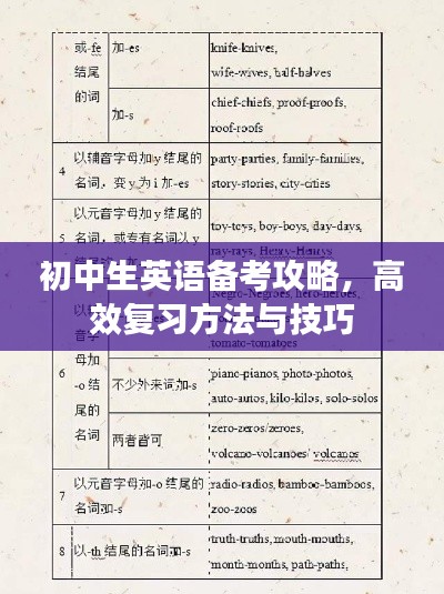 初中生英语备考攻略,高效复习方法与技巧