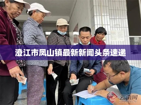 澄江市凤山镇最新新闻头条速递
