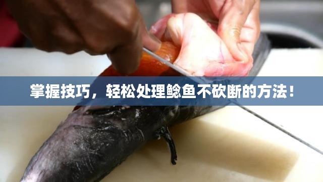 掌握技巧,轻松处理鲶鱼不砍断的方法!