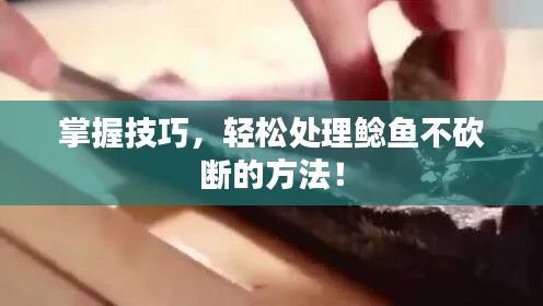 掌握技巧,轻松处理鲶鱼不砍断的方法!